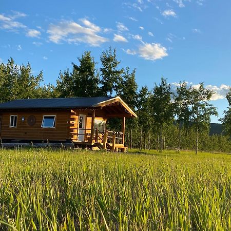 Oma'S And Opa'S Northern Lights Viewing Cabin Villa Whitehorse Eksteriør billede