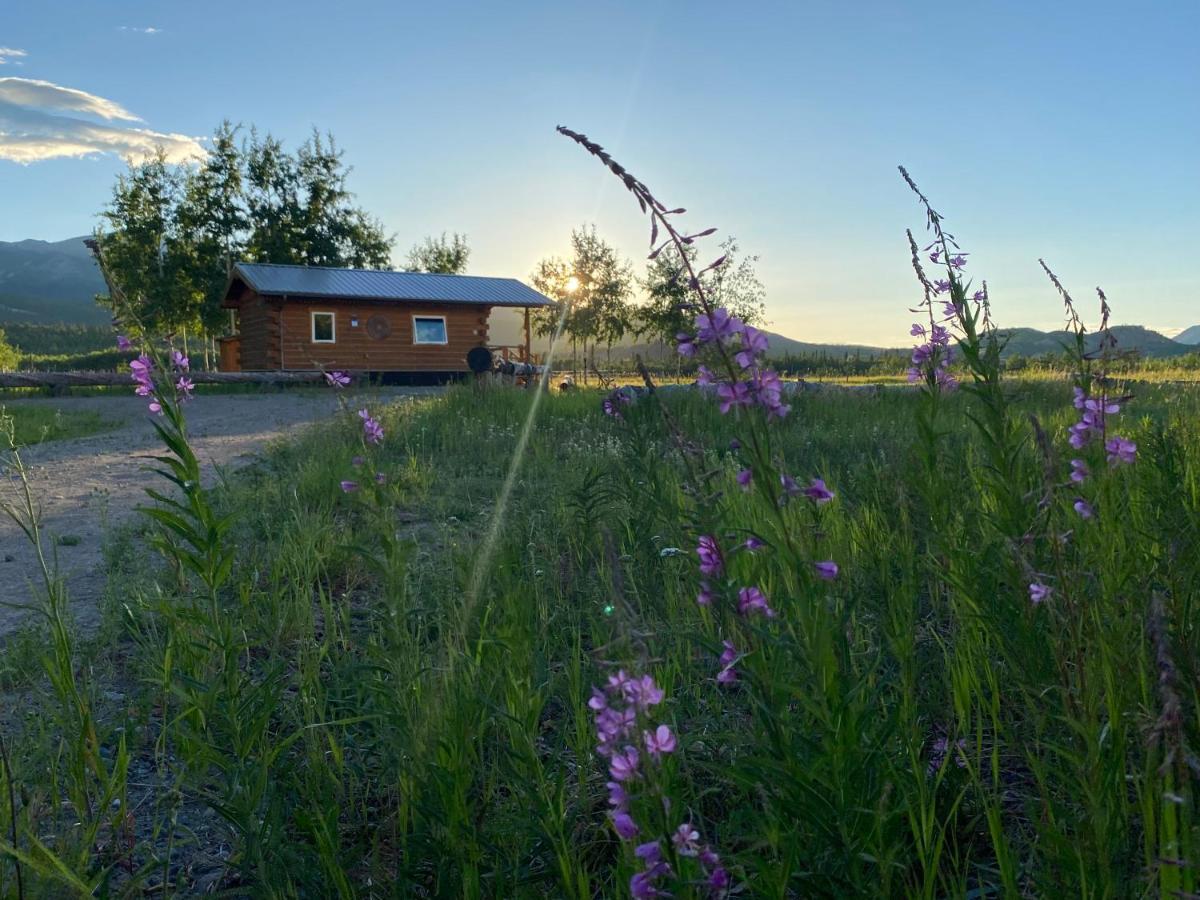 Oma'S And Opa'S Northern Lights Viewing Cabin Villa Whitehorse Eksteriør billede