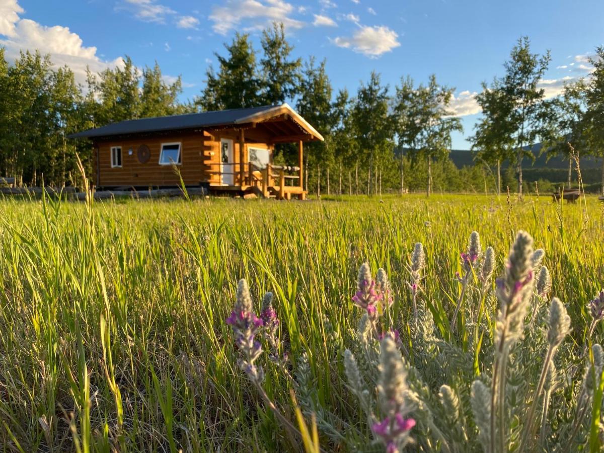 Oma'S And Opa'S Northern Lights Viewing Cabin Villa Whitehorse Eksteriør billede