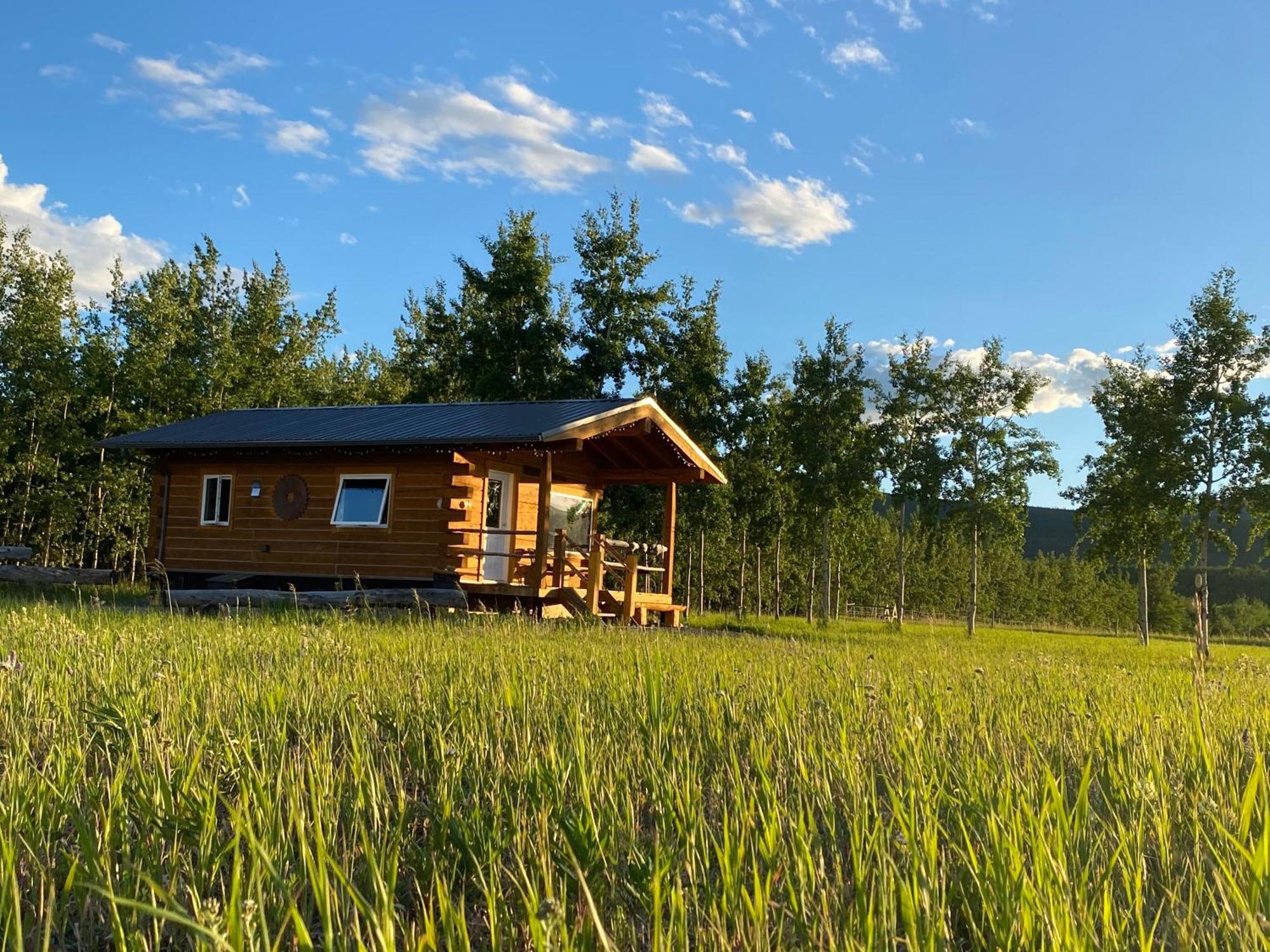 Oma'S And Opa'S Northern Lights Viewing Cabin Villa Whitehorse Eksteriør billede